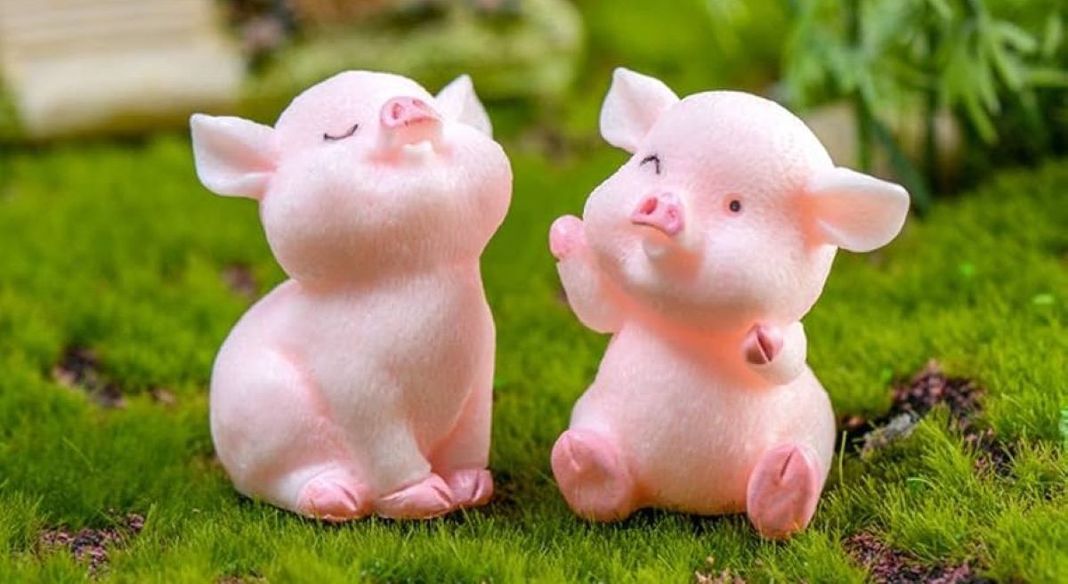 Chinese Zodiac 2026 - pig