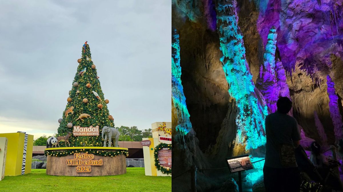 Christmas 2025 places - Festive WILD-erland