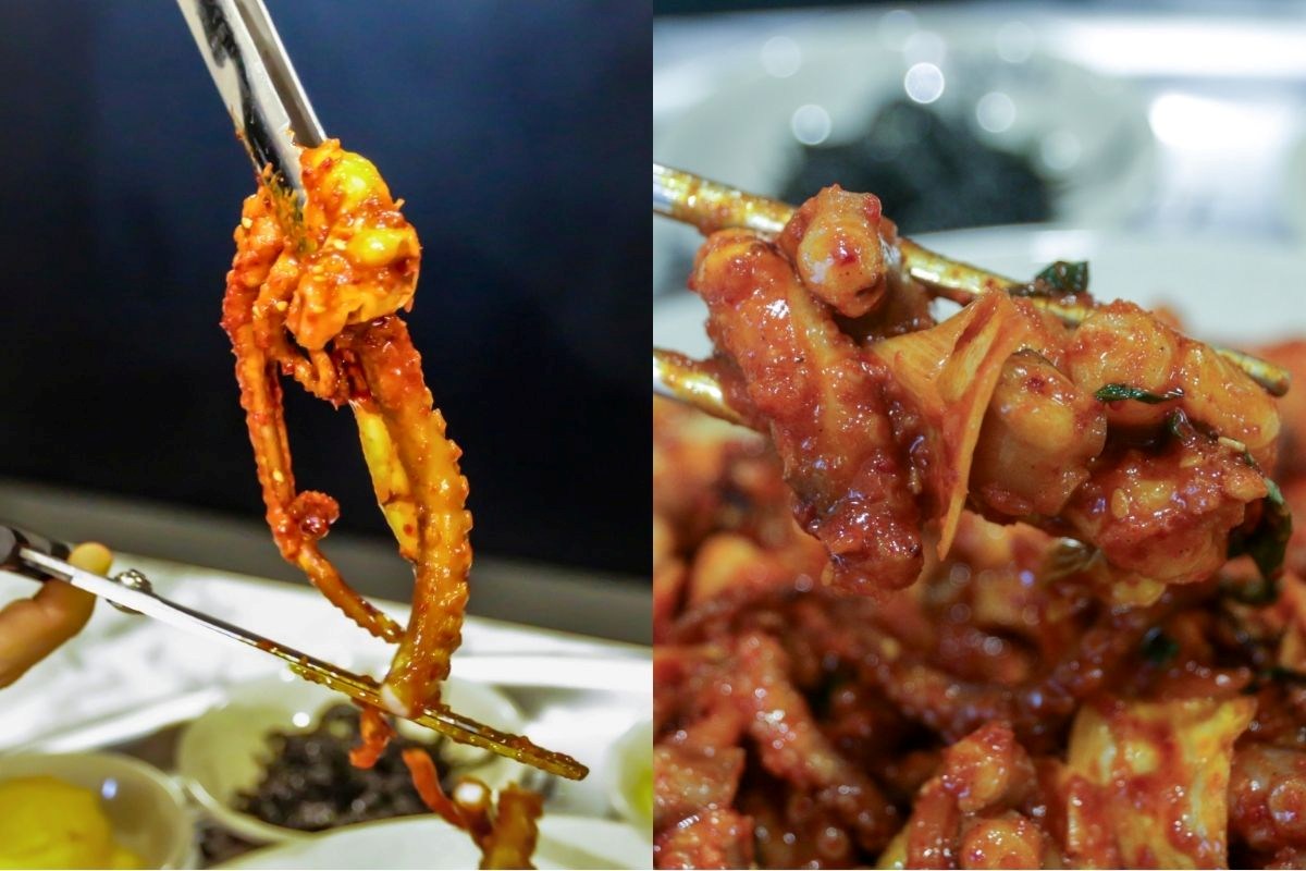 Obongzip opening - spicy octopus cut Obongzip opening - spicy octopus cut