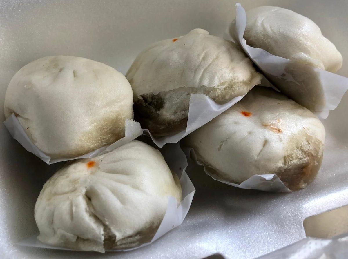 Teochew Handmade Pau closes - char siew pau