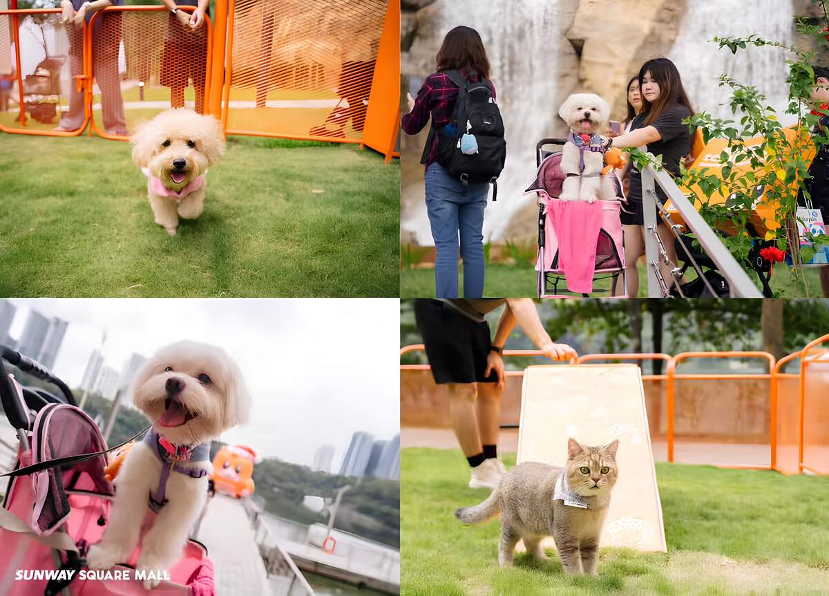 Sunway Square Mall Pet - Squarrel park