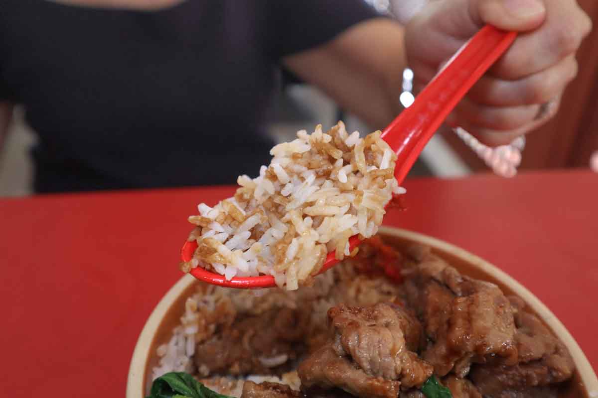canton steamed rice - beef closeup