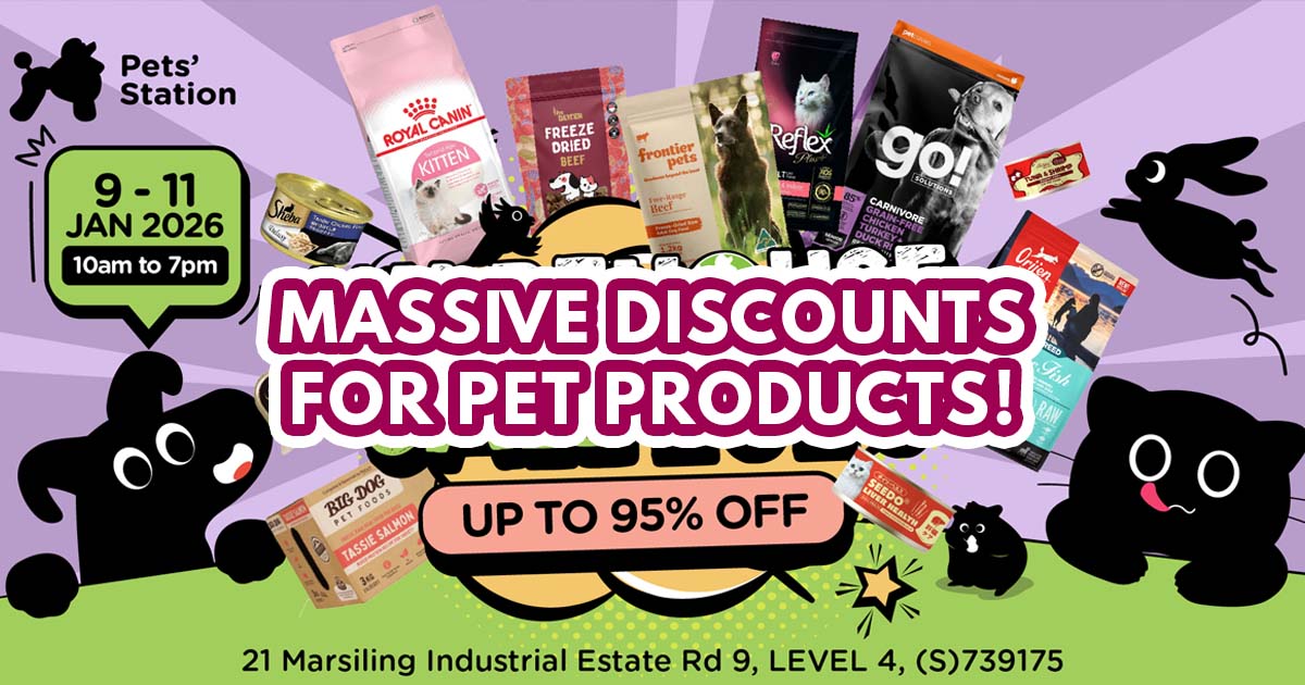 Pets Station Warehouse Sale 2026 - featured image