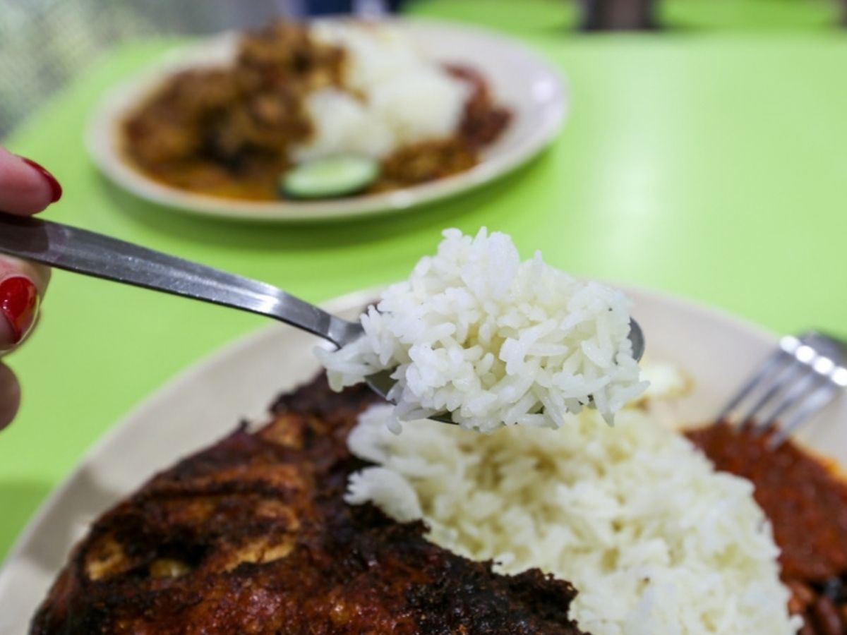 Spicy wife - aromatic chicken rice