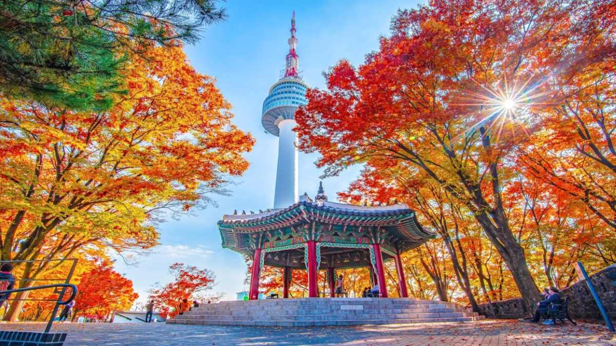 Travel budget 2026 - Korea