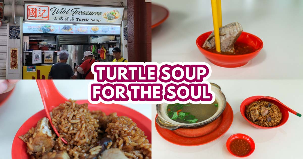 Wild Treasures Turtle Soup - featured image