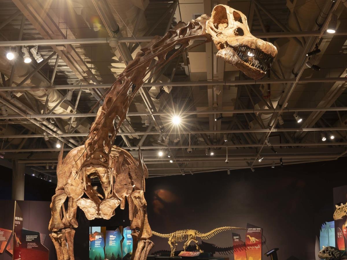 March holidays activities 2026 - Dinosaurs Extinctions Us