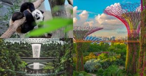 redBus promotion - collage of singapore attractions