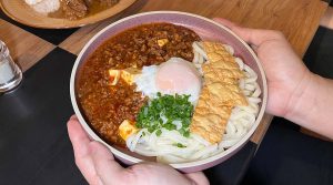 peh gao coffeshop - mapo tofu udon
