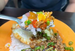 Manao Thai opens - Basil Minced Pork Rice, closer picture