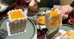 Mary Grace new international outlet - Mango Bene