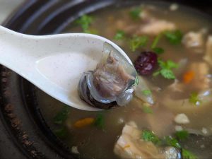 berseh food centre spring cleaning - turtle soup