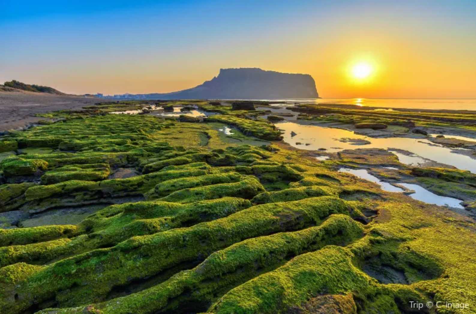 honeymoon jeju landscape