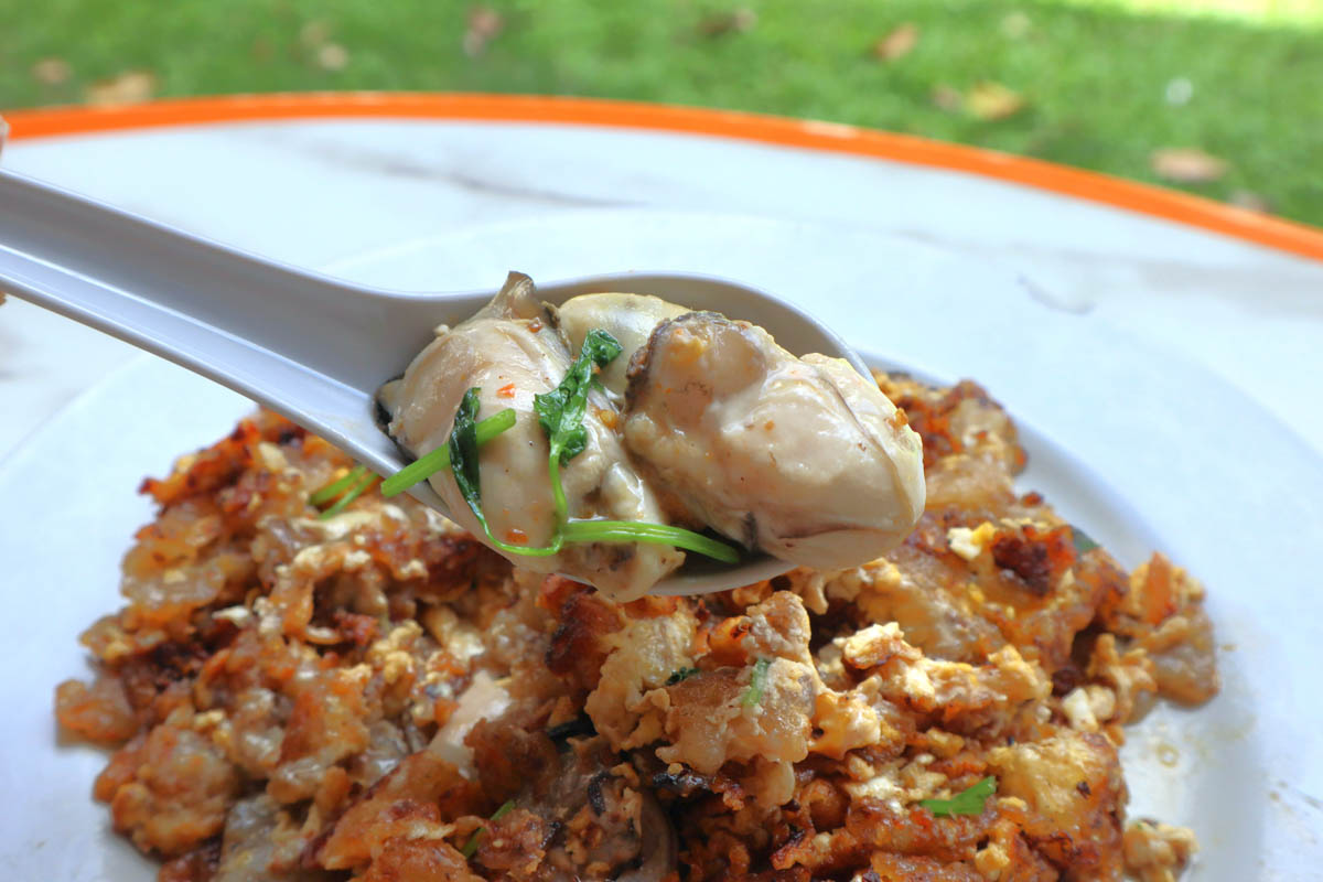 best rated oyster omelette - oysters closeup