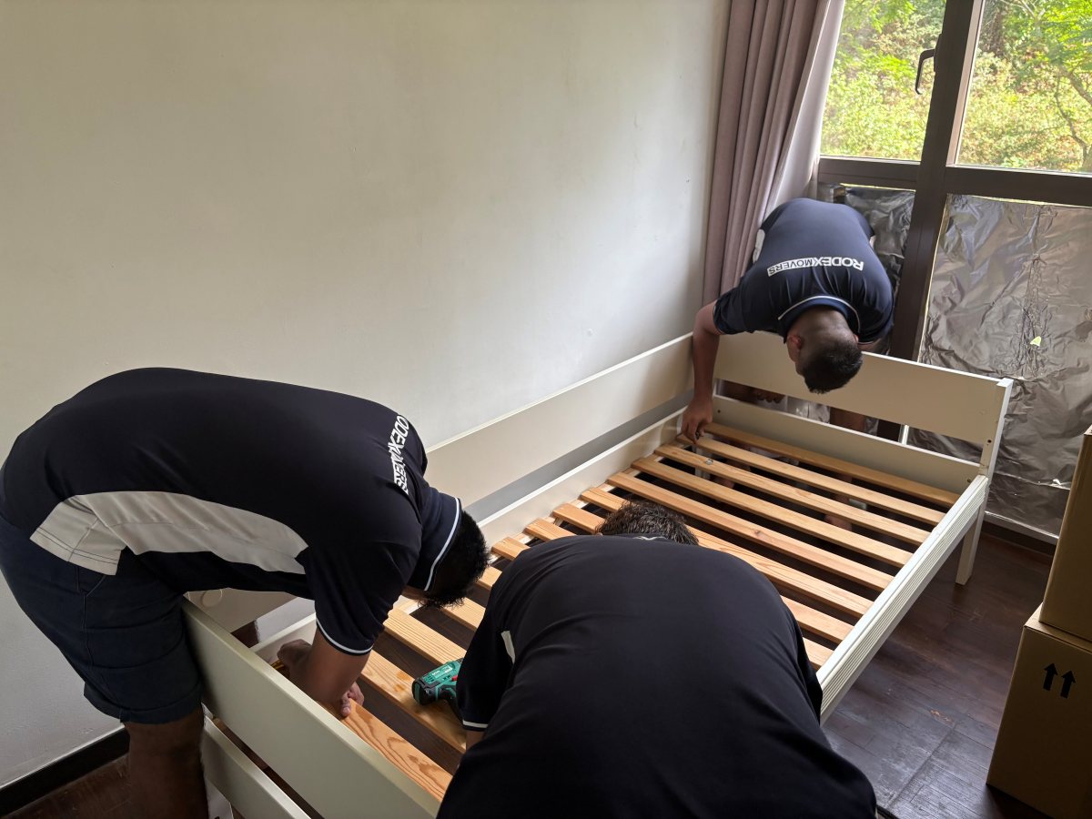 Movers - Rodex - assembling bed