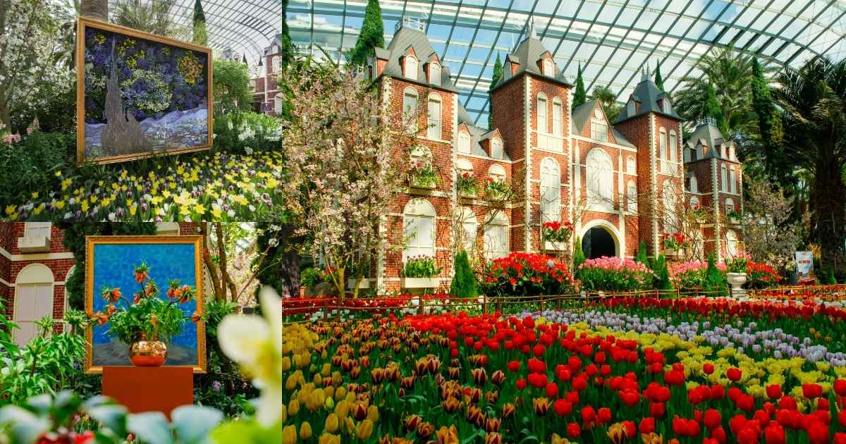 Things to do in May 2026 - Tulipmania