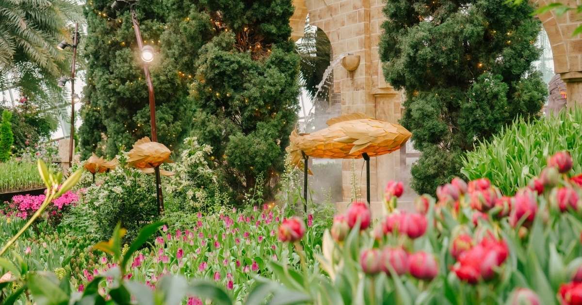 Things to do in May 2026 - Tulipmania
