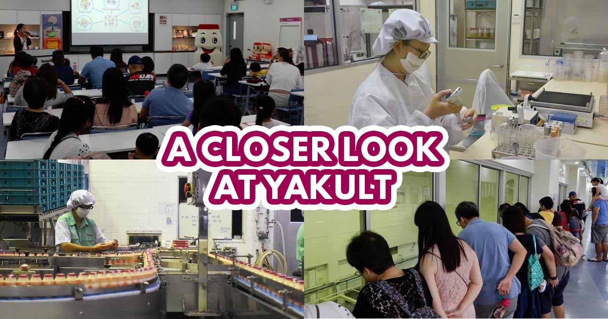 Yakult Factory Tour - feature image