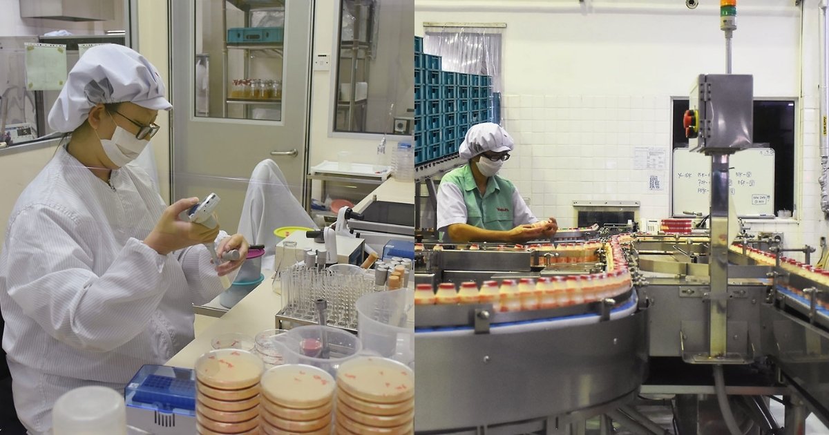Yakult Factory Tour - production pictures