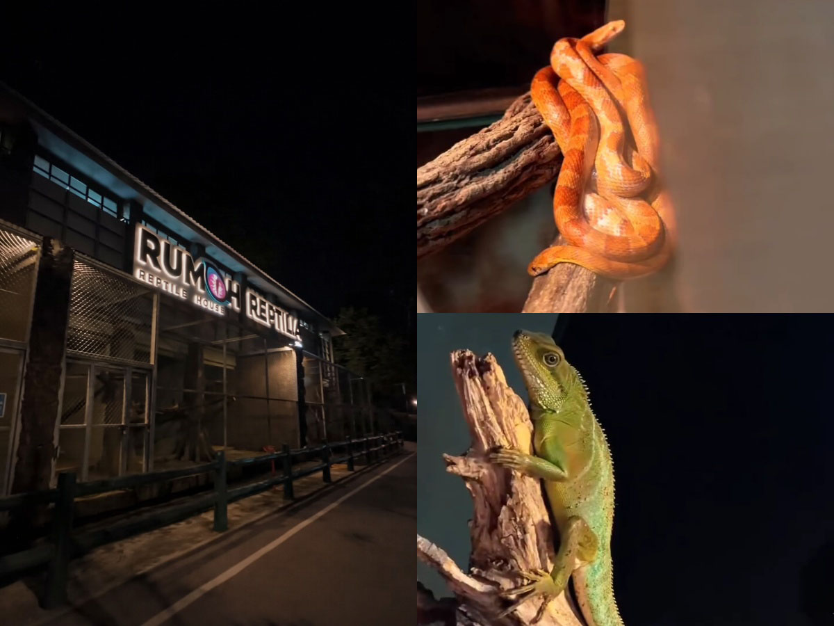 Johor Zoo - Reptile house