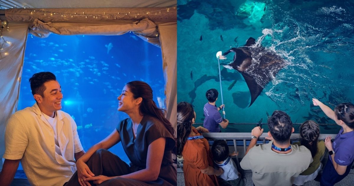 15 best things to do this June holidays in SG - Ocean Dreams at Singapore Oceanarium