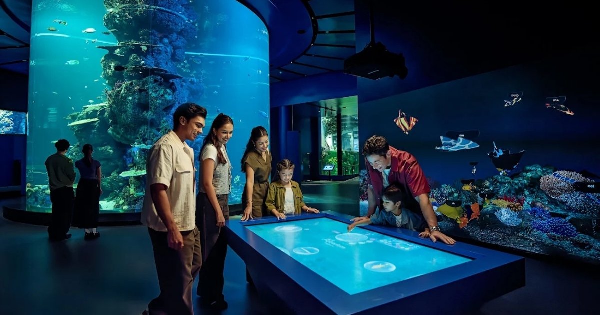 15 best things to do this June holidays in SG - World Ocean’s Day activities at Singapore Oceanarium