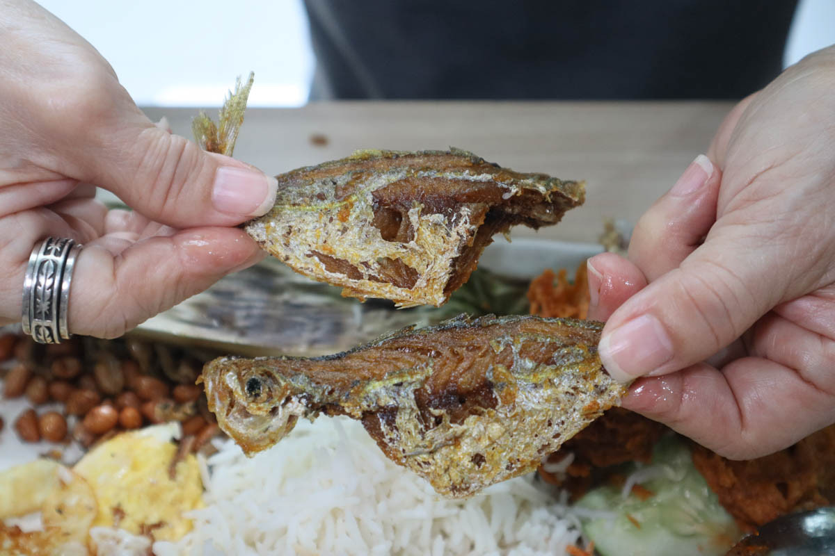 new vs old nasi lemak - selera rasa fish