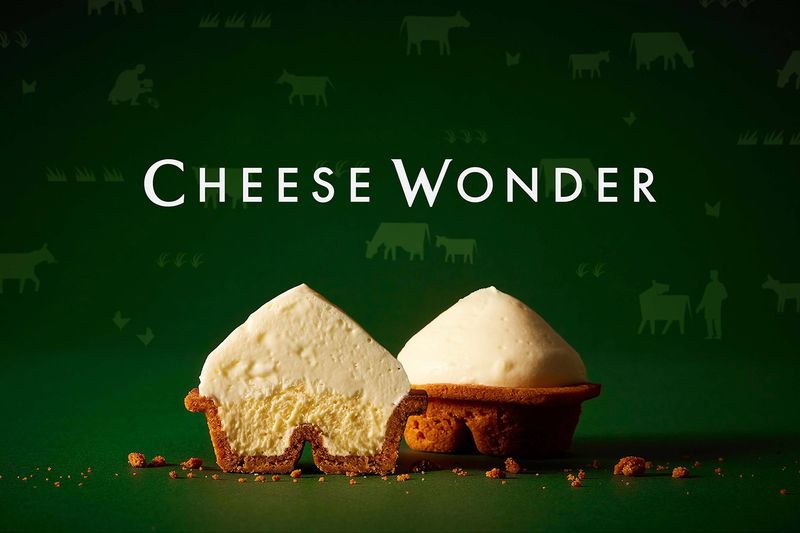 cheese wonders arriving in singapore - cheese wonder