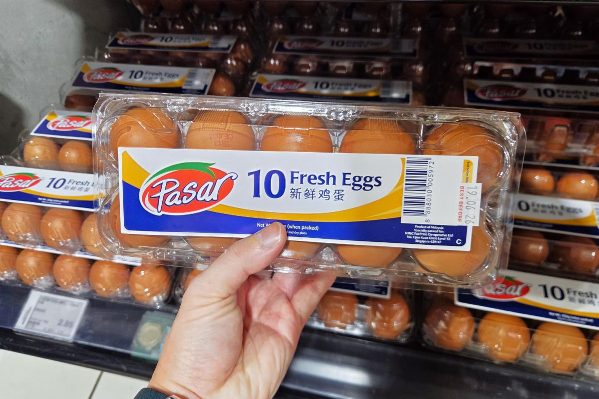 Groceries FairPrice Lotus's - eggs