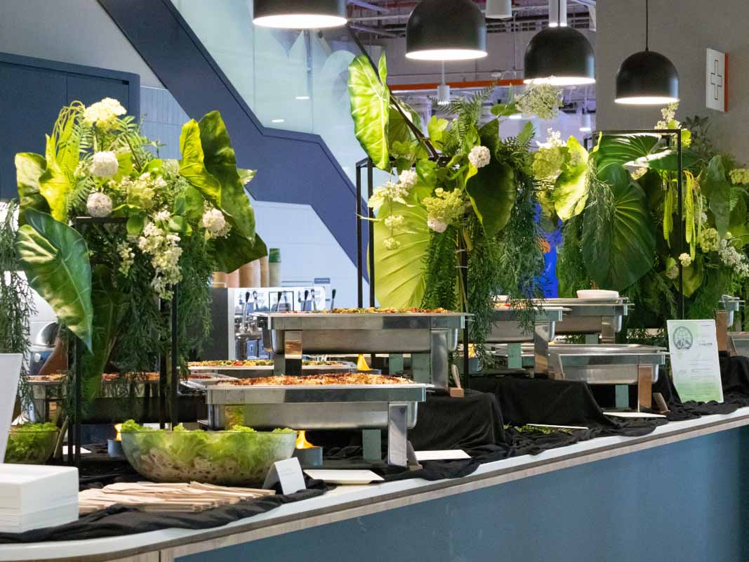 caterwow - plants setup