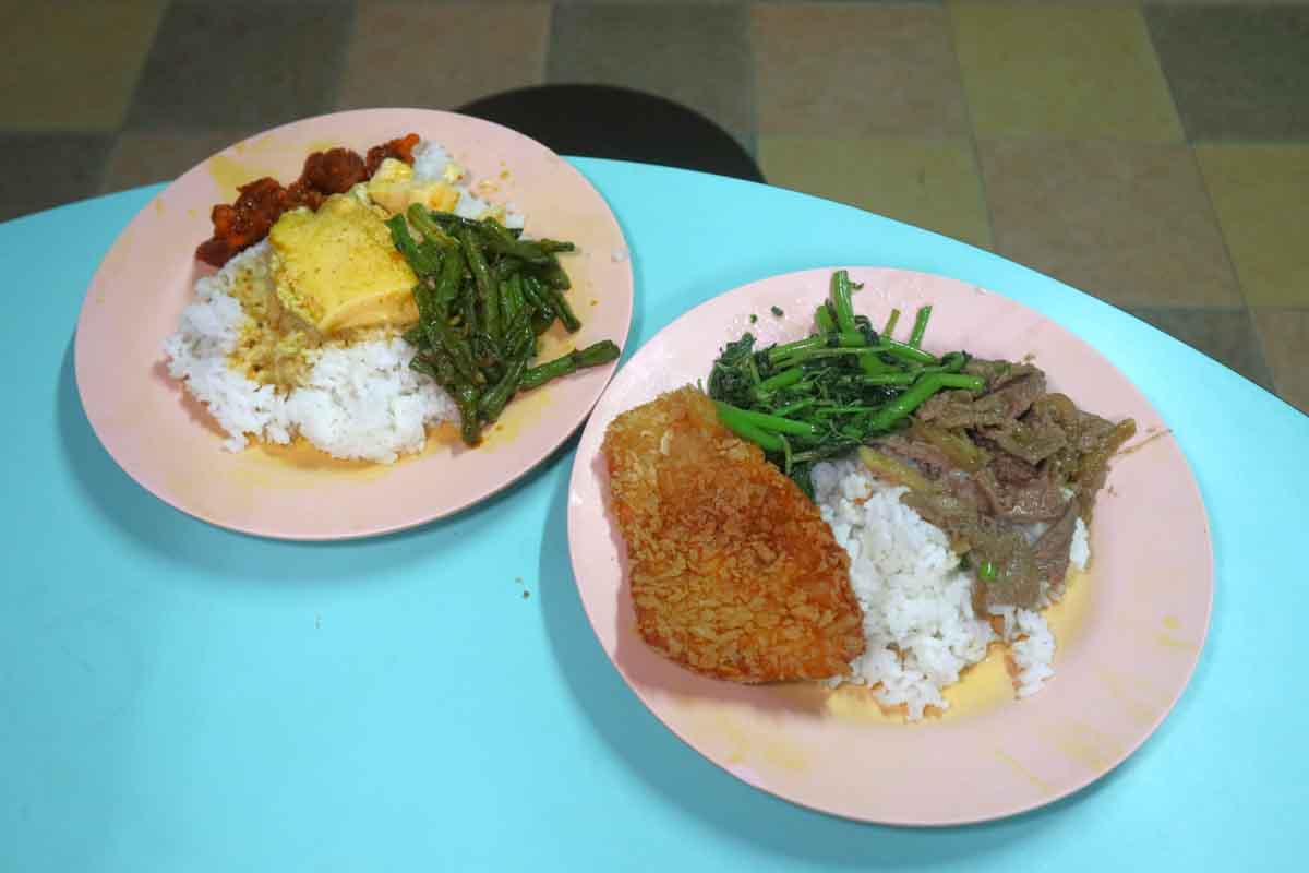 V1 Jia Chang Cai - cai fan