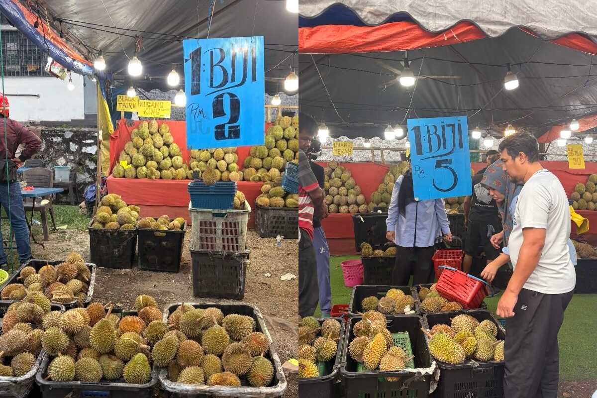Durian Papa Muda - Durian