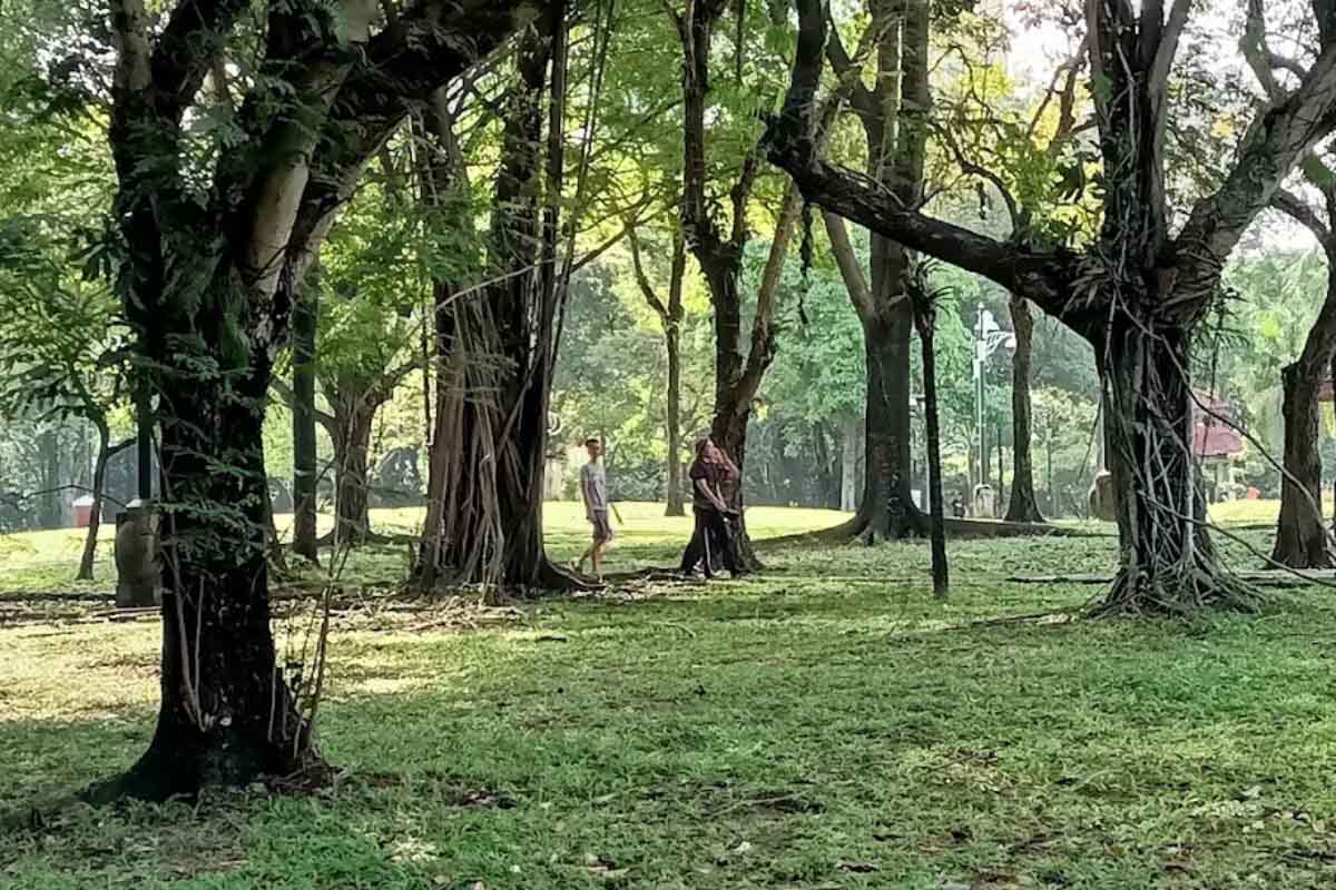 Pudu Ulu Park - Trails