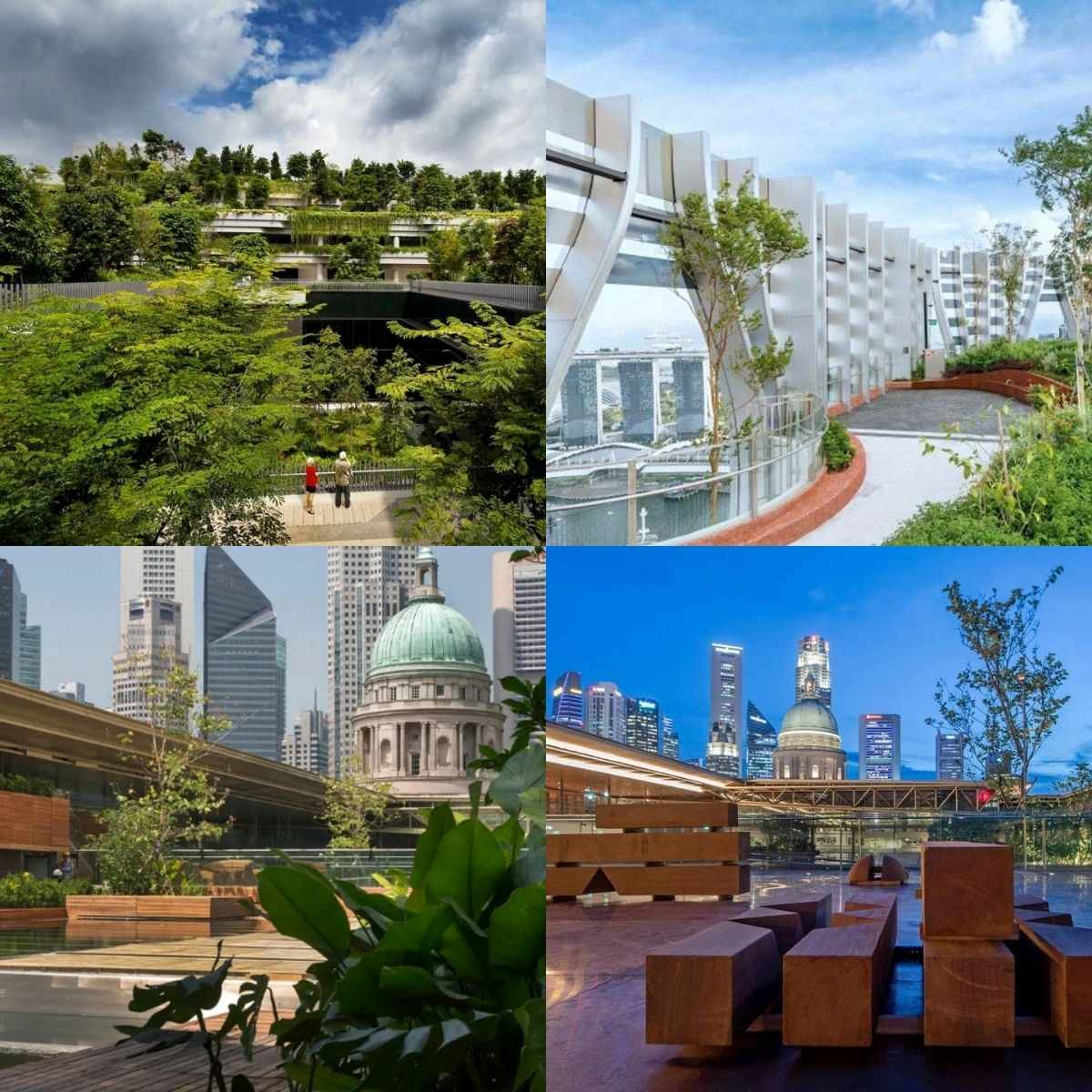 Best rooftops - featured image