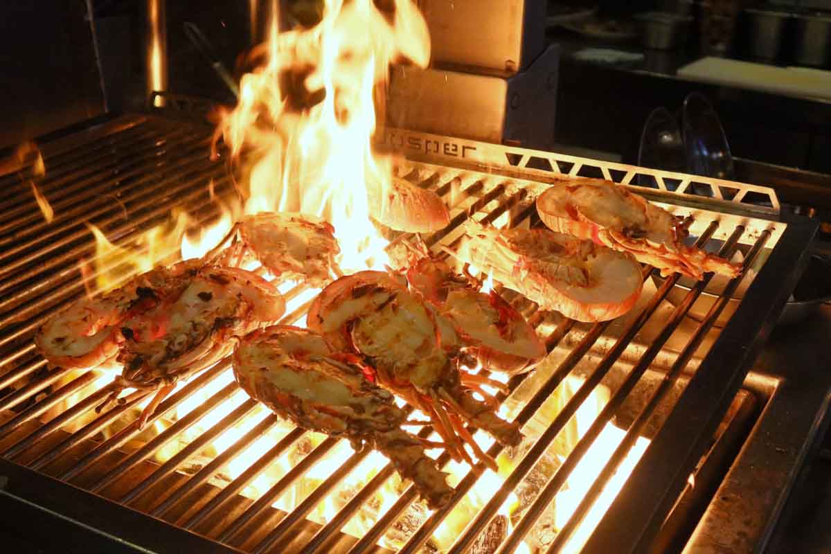 lobsterfest - flame-grilled lobster
