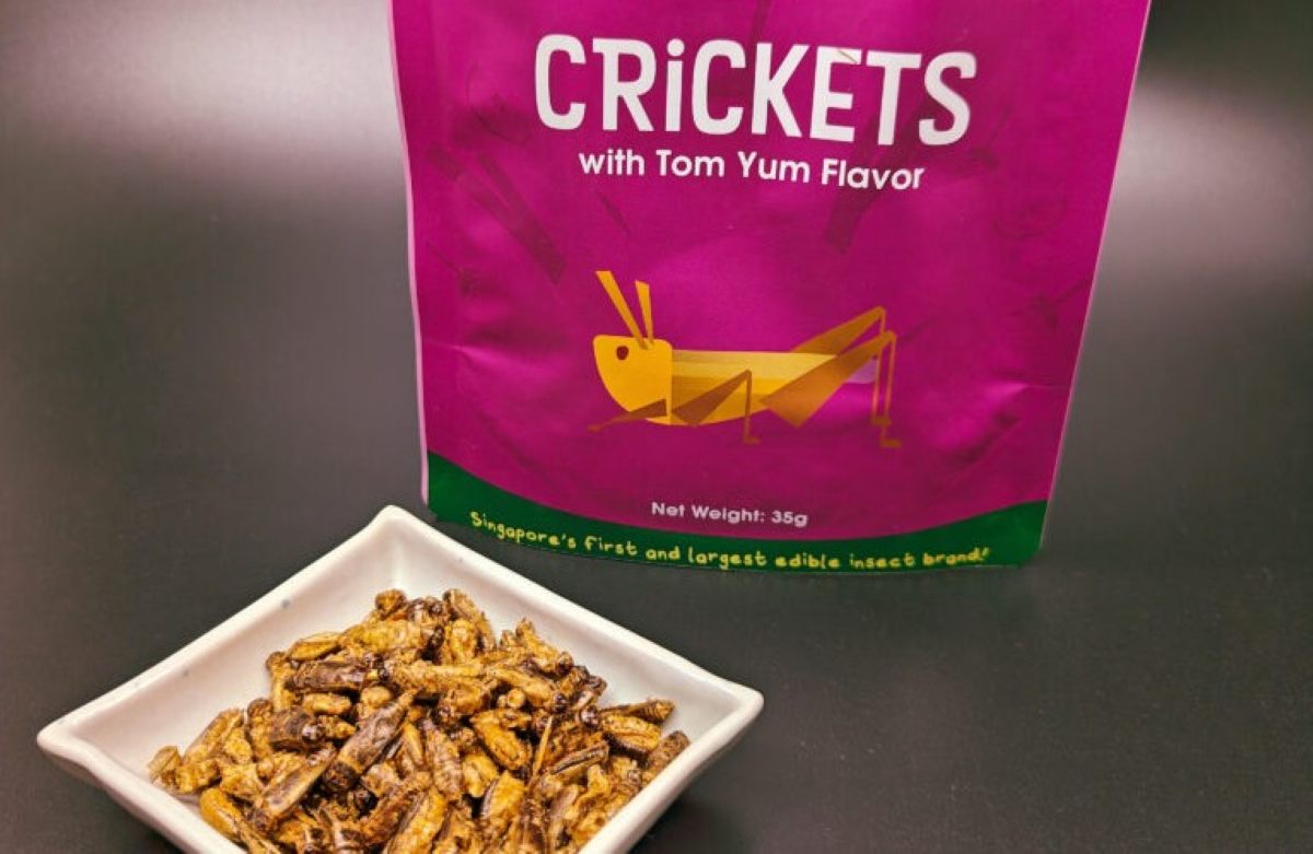 Unique snacks - Insectyumz