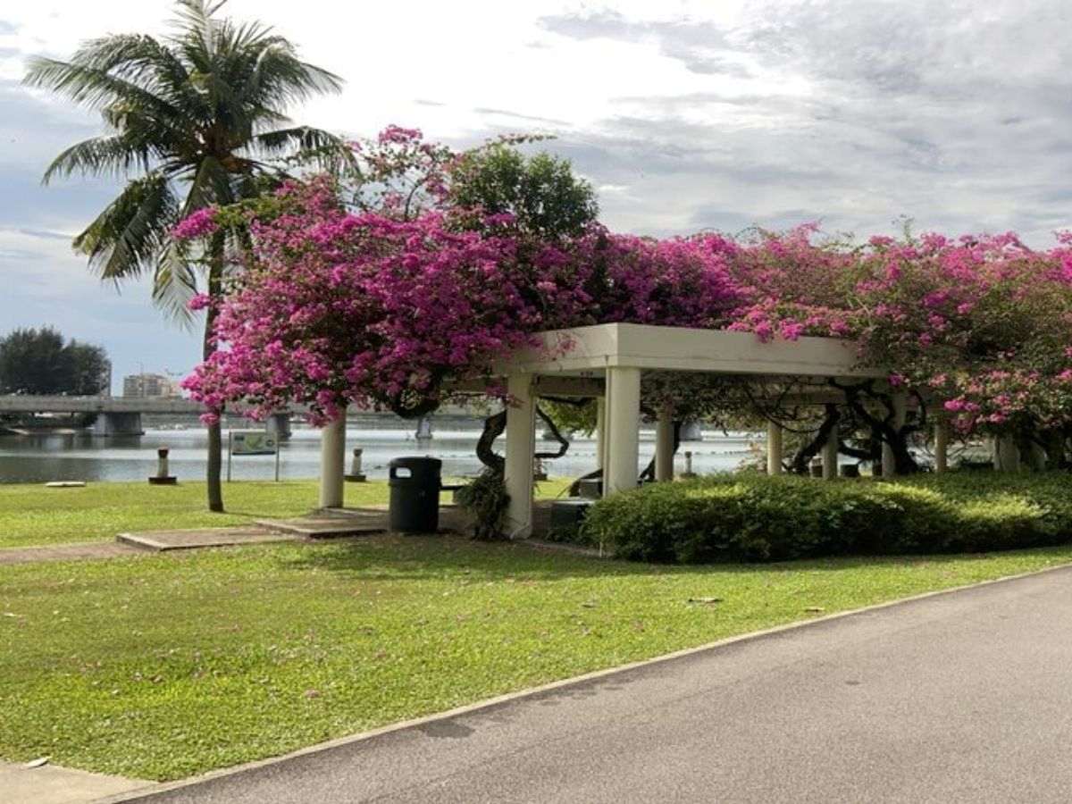 Best free spots to watch ndp 2026 fireworks - kallang riverside park