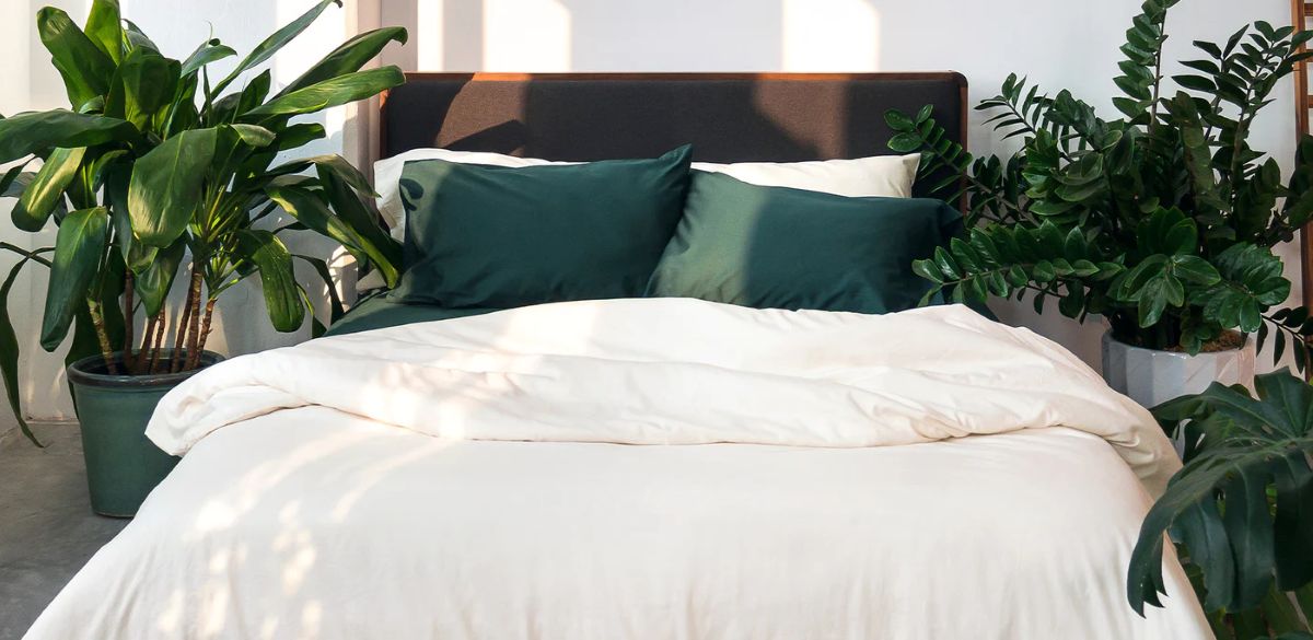 Best local lifestyle brands - SOJAO