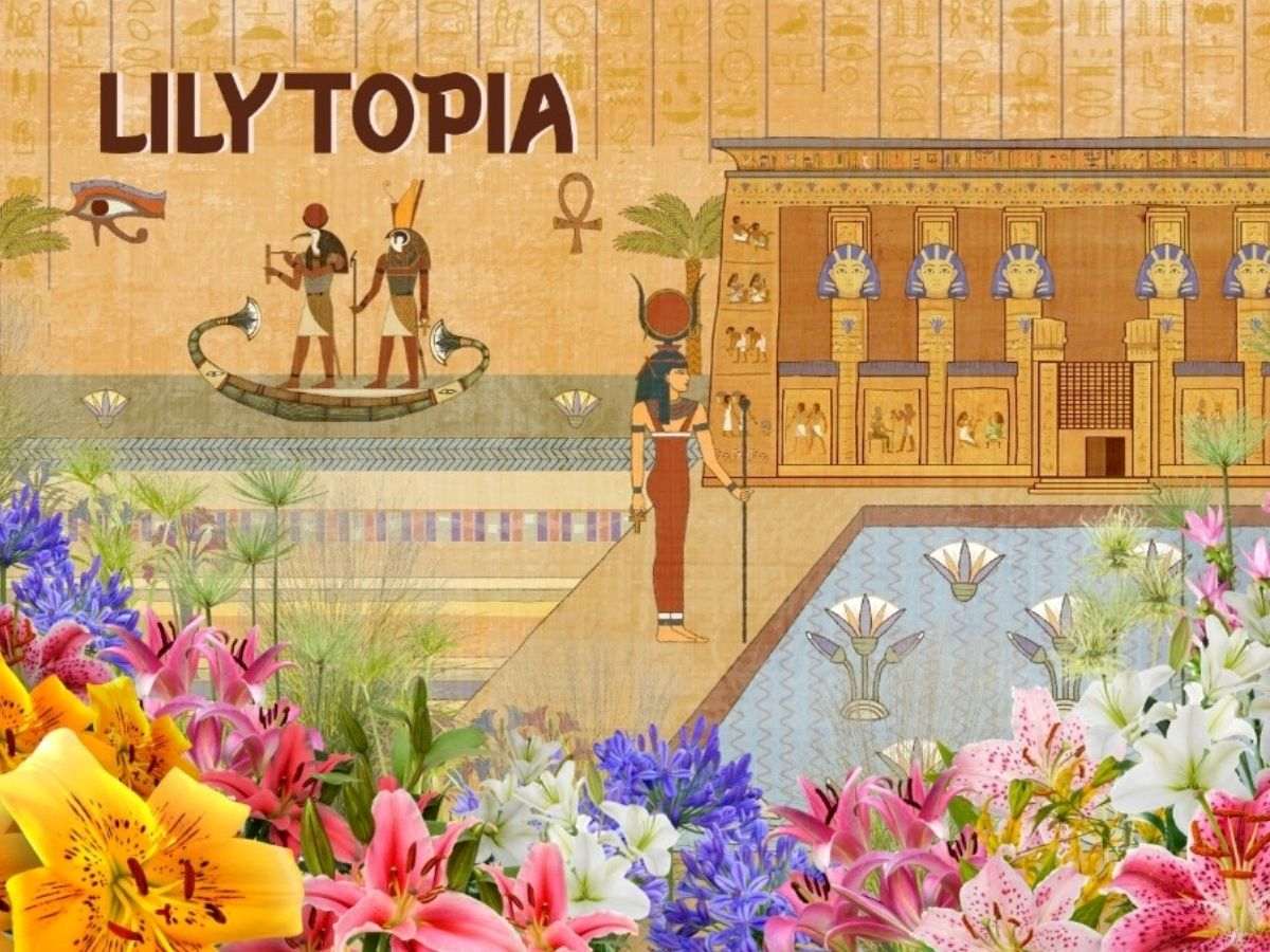 Things to do in Aug 2026 - Lilytopia
