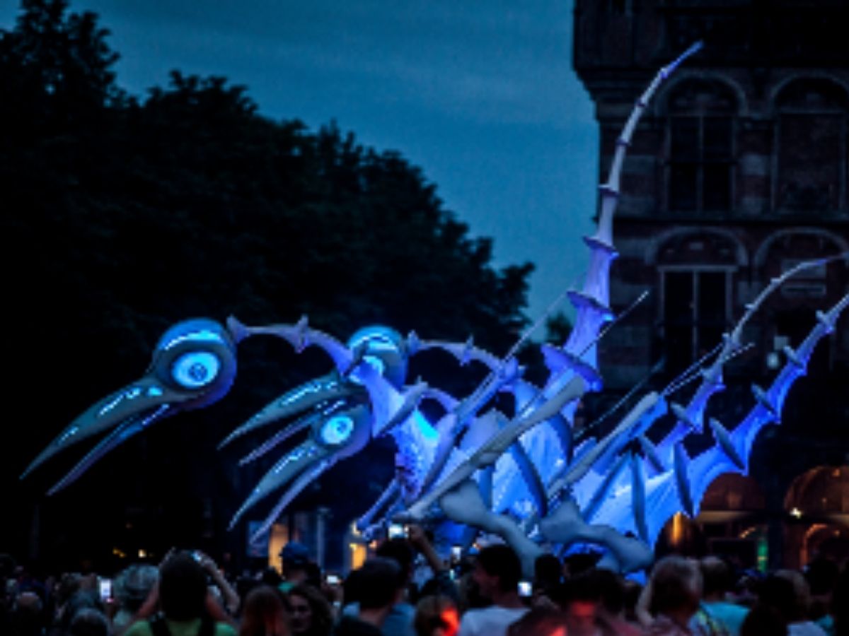 Things to do in Aug 2026 - Singapore Night Festival