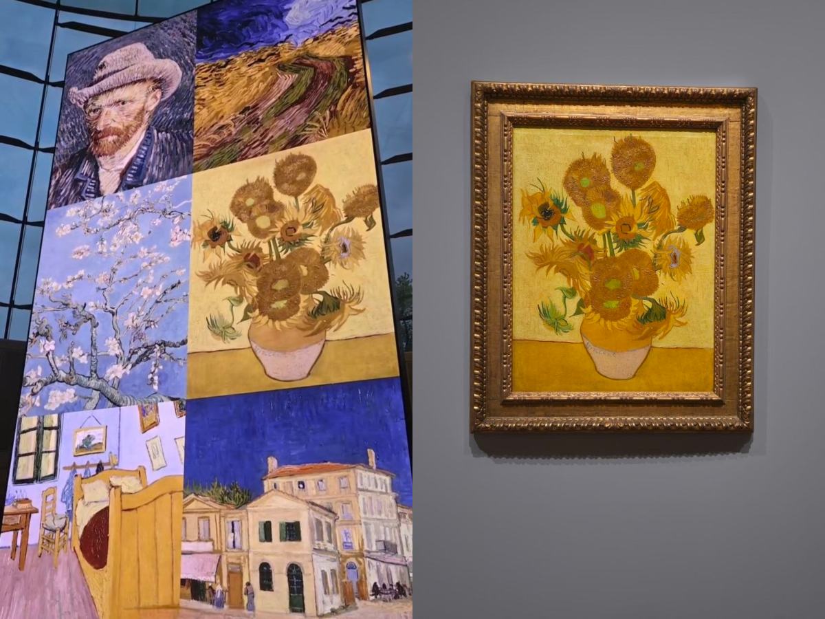 amsterdam - van gogh paintings