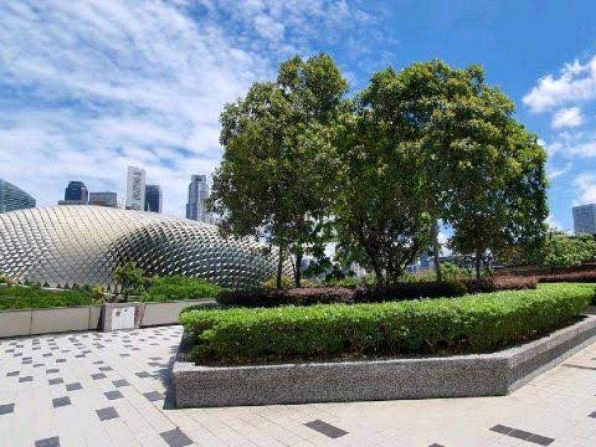 Best rooftops - marina square rooftop garden