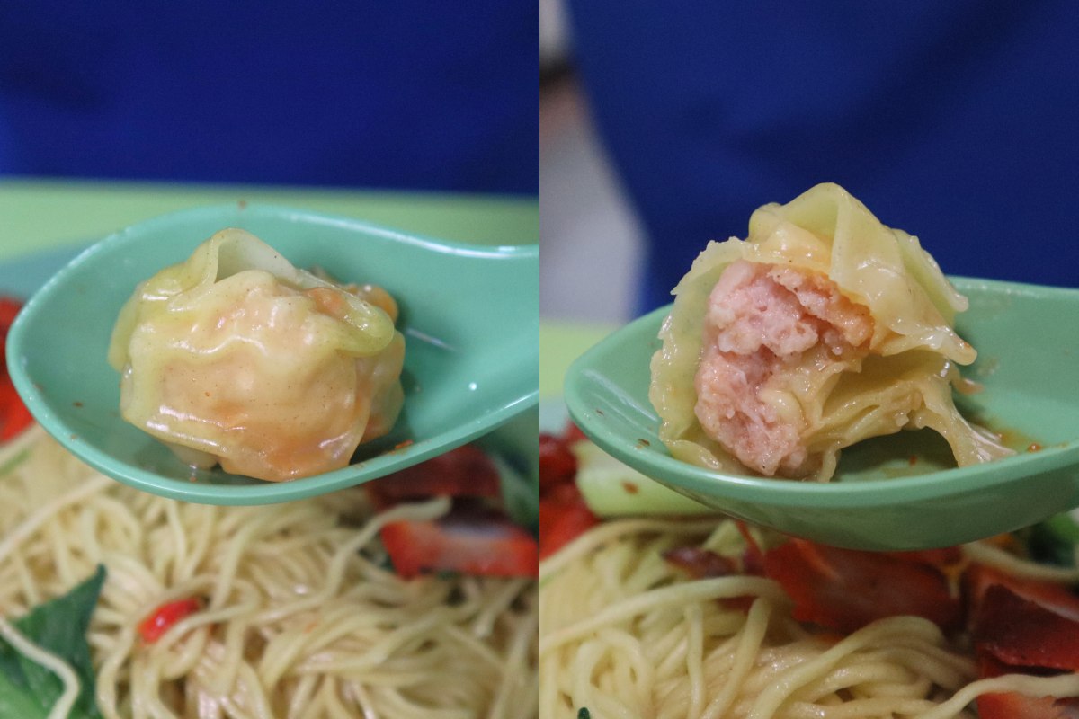 dunman wanton mee showdown - dunman road wanton closeup