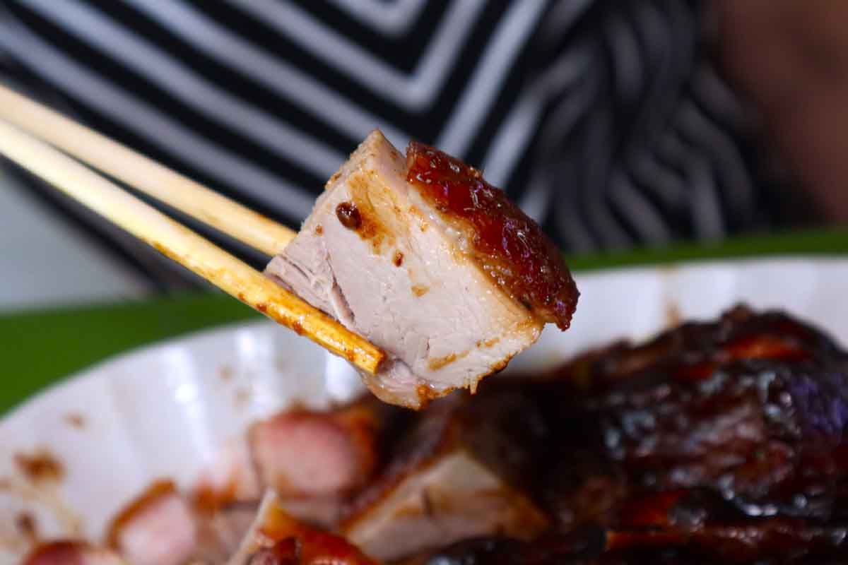 best-rated roasted meats - roasted duck closeup