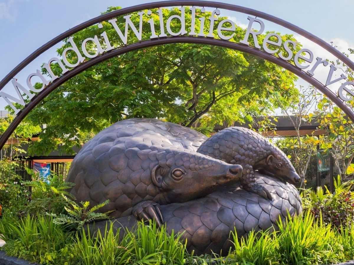 best national day events 2026 - mandai wildlife reserve