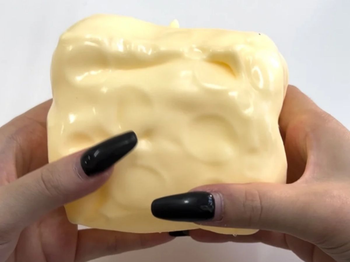 best squishy - 7.5cm thick cheese 