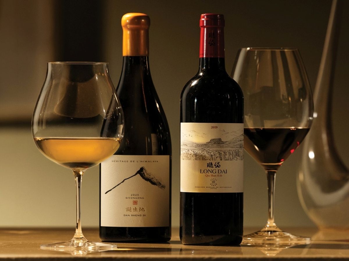 beyond the cellar wine festival - wines