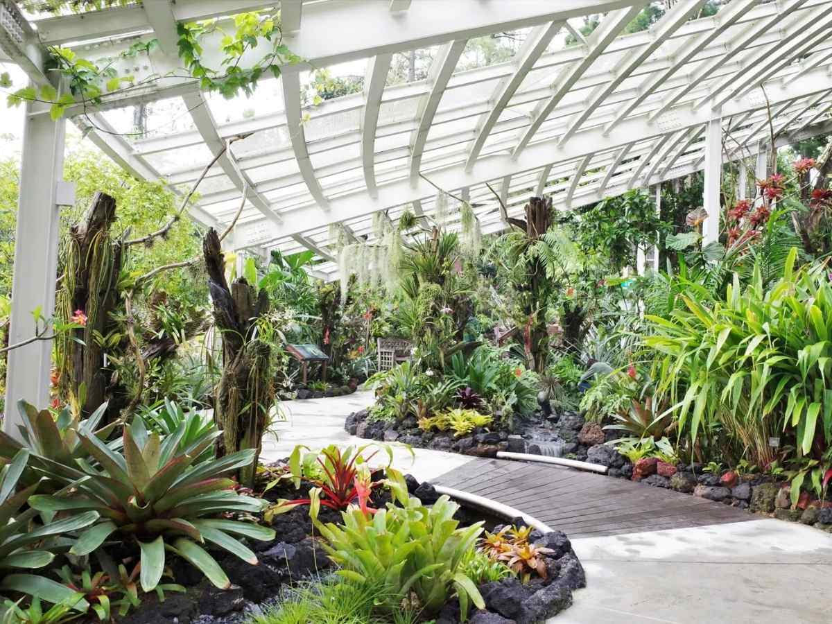 Singapore Botanic Gardens & Fort Canning Park Heritage Festival - trail