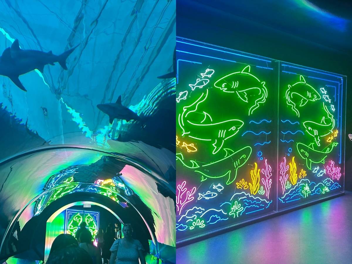 Festival of Thrills - Into The Glowcean