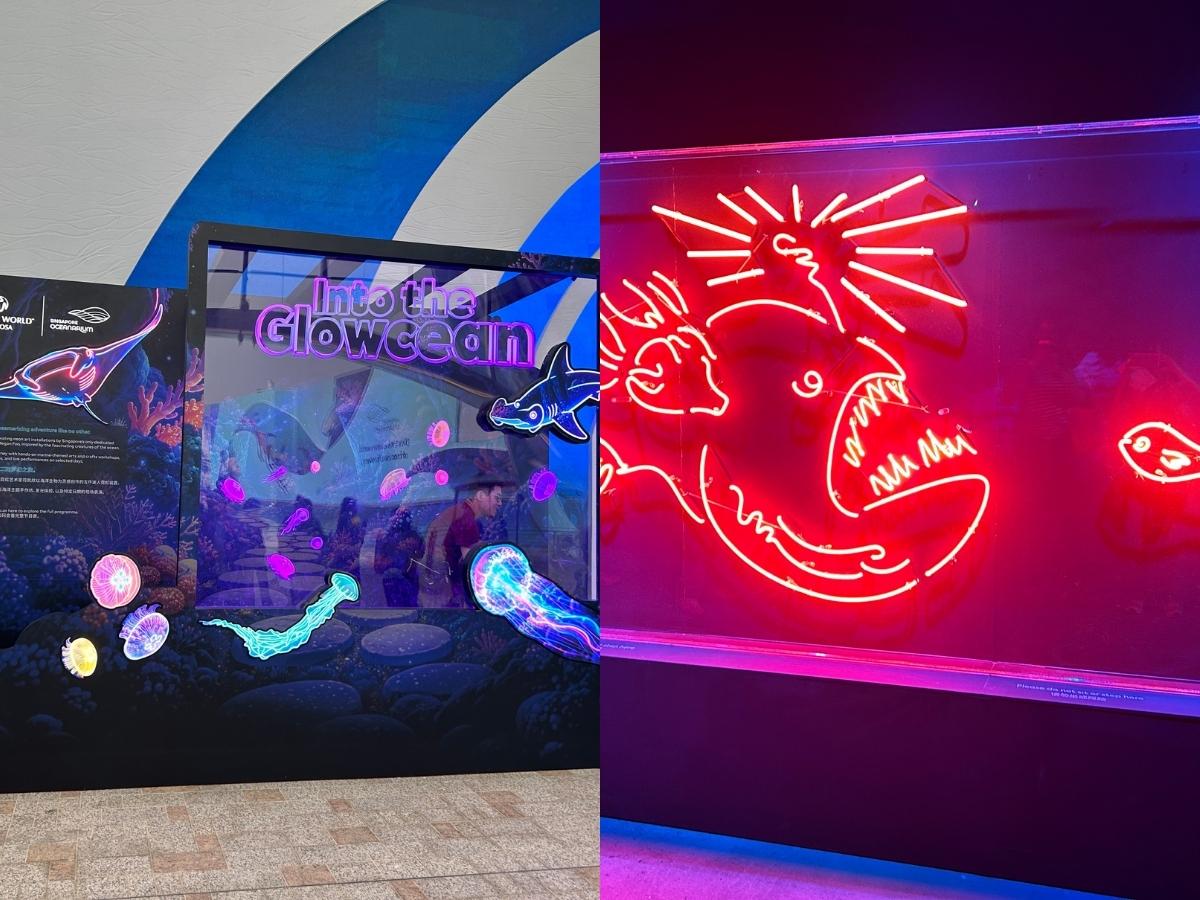 Festival of Thrills - Into The Glowcean